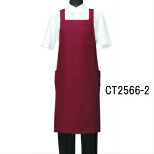 CT2566-2 Gv Iׂ10F 2TCY IׂMELTCY