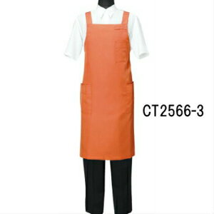 CT2566-3 Gv Iׂ10F 2TCY IׂMELTCY