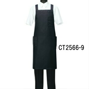 CT2566-9 Gv Iׂ10F 2TCY IׂMELTCY