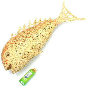 1_ I[_[Ch |׍H  ze HX   { B