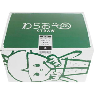 Xg[gXg[   500{ 468 W[Xp eCNAEg Cxg ܓ Ɩp