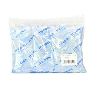 保冷剤イッツクール Iー40 10個仕立 40g アイスパック 氷 It'scool 温度 業務用