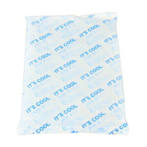IT’s COOL Iー800 800g 保冷剤 アイスパック 氷 イッツクール 温度 業務用