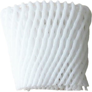 t[cLbv  RG|9 100 ɏՍ iR _앨  ʕ   S ь oחp