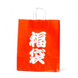 【SSクーポン配布中】手提袋 HZ 福袋 10枚 ラッピングバッグ 紙袋 定番 業務用 包装資材