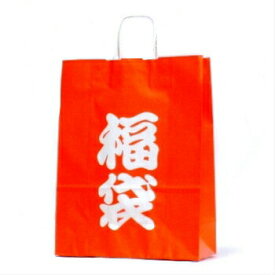 【SSクーポン配布中】手提袋 HV70 福袋 10枚 ラッピングバッグ 紙袋 定番 業務用 包装資材