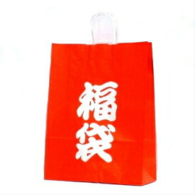 【SSクーポン配布中】手提袋 HV－100 福袋 10枚 ラッピングバッグ 紙袋 定番 業務用 包装資材