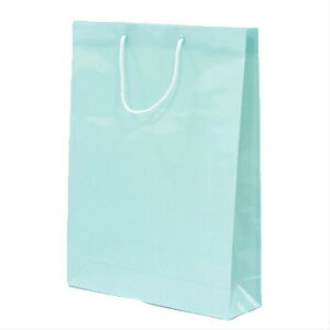 ��񂰑� �G�N�Z���o�b�O �u���| 10�� ���� ���b�s���O�o�b�N �M�t�g ������ �Ɩ��p