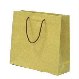 【SSクーポン配布中】紙袋 カラ－クラフト T－6 抹茶 100枚 ラッピングバッグ 手提袋 中身が見えにくい 業務用 ギフト