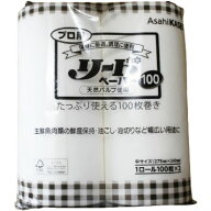 プロ用 リードペーパー100 中 2本入 1袋