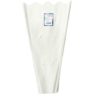 t[pbN 45|24 100 ԑ   OPP ؂ԗp` tB n 