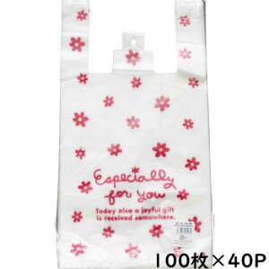 WpbO|2i100×40PjEF|M  ԕ W v[g GݓX 킢 MTCY P[X