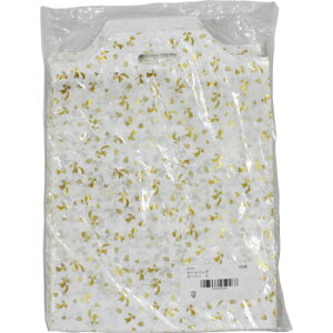 TChobO@K[fS@100 Mtg 񂰑 eCNAEg G  蔲^ bsO F̊G STCY