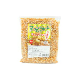 }bV[^Cv|bvR[1kg nj[ |bvR[ޗ Cxg Ղ  Ɩp