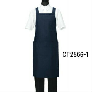 CT2566-1 Gv Iׂ10F 2TCY IׂMELTCY