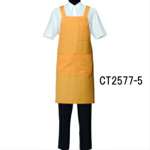 CT2577-5 Gv Iׂ10F 2TCY IׂMELTCY