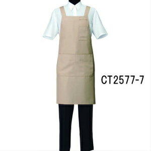 CT2577-7 Gv Iׂ10F 2TCY IׂMELTCY