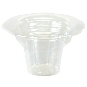 ACXt[ AS A[PET 50 XJbv tbyJbv  X ĝ Ɩp Ղ Cxg Rbv e 