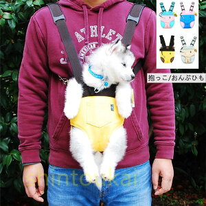  R ԂЂ XO ybgpbN IV яoh~ | tbNt EyX U L[obO ^ ybgpi L o