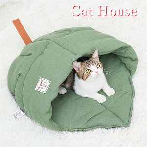 Lpxbh LbgnEX  an IV  LnEX ybgpQ ~ ϋvϗp Lbgxbh  _炩 H~p ybgQ h