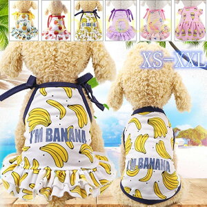   ybgEFA ybg ybgpi ̕ hbOEFA t H~ bV@t[c@^N@s[XʋC@IV@Pi@