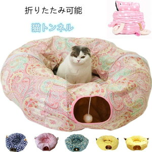 LbgnEX L gl V t {[t L nEX Vя h[^xbhL炵t ܂݉ 