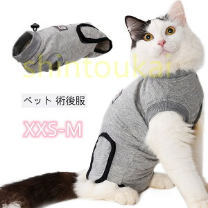 ybg p㕞 Lp ȑfށ@GUxXJ[ɑ pEFA 앞 畆ی sDp ی r D ~h~ Yp@