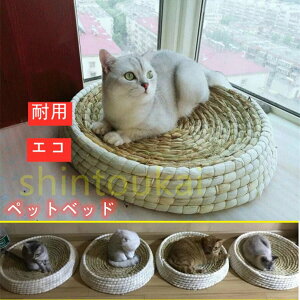 ybgxbh LbgnEX L܂Ƃ Lxbh lGʗp  Lpi ҂  35cm