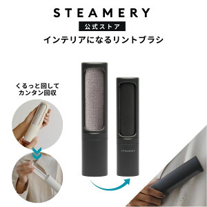 yzSTEAMERY Lint Brush Dark Grey X`[}[ guV _[NO[ ߗpuV ߗރuV muV gїp y mPA XEF[f kfUC TXeiu Mtgy