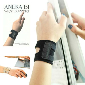 ANEKA T|[^[ Xgoh 񕉒Sy h~ Ȃz X|[c oXP }EXF≊