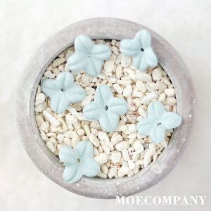 y900z Ԃт X[p[@(x+ȇ@)O[O[ Ԃт ԍ A[gt[ޗ Ntg | |ޗ  ԍޗ petal