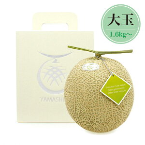 山下メロン園 高級マスクメロン 【大玉(1.6kg~)】1玉 特Aランク メロン 高級 温室マスクメロン 静岡県産 誕生日 お歳暮 贈答品 プレゼント ギフト 糖度14度以上