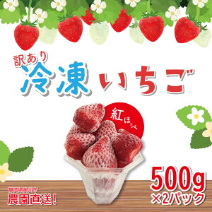 󂠂 Ⓚ gق (500g×2pbN) É|s~Ym_ w^Ȃ ⓀC`S V[xbg X X[W[ WuhC`S@ÉYgق؁@_