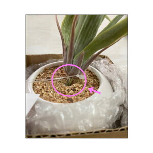 yAEgbgzCeAO[ Eh|bgEG}ŏLʁϗtA ~j tFCNO[ C   RpNg gC A fXN  CeA ͂