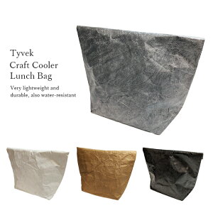 【メール便送料無料】ヴィンテージ クラフトクーラーバッグ タイベック素材の保冷バッグ ランチバッグ 保冷バッグ ランチバック お弁当バック 折りたたみ マチ付き コンパクト 大きめ 大