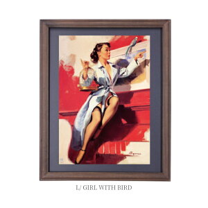 Be[Wt[|X^[E IV t[ Ebht[ Ebh ؐ Be[W re[W AJ AJG |X^[ g 킢  C