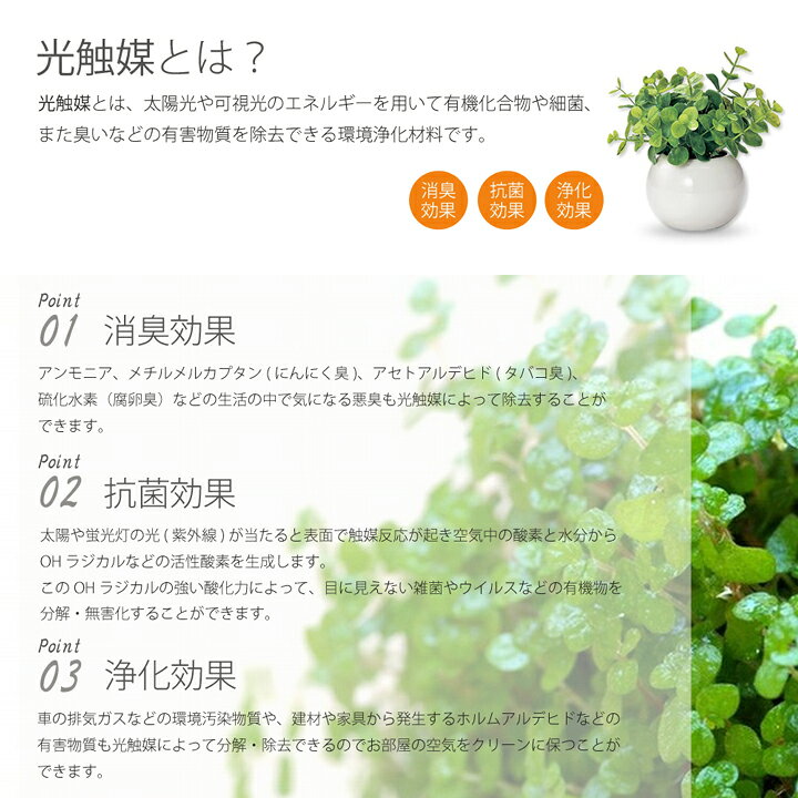 楽天市場 ラウンドポット L ミニサイズの卓上仕様 Ct触媒 観葉植物 人工 水やり不要 害虫 アブラムシ 空気清浄 消臭 抗菌 小さい 玄関 トイレ 棚 インテリアグリーン イミテーショングリーン 小さい Moewe Global メーヴェ