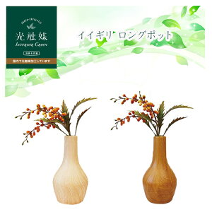 G} CeAO[ CCM O|bgWDElH ϗtA tFCNO[ C   fXN  CeA ͂Ȃ  C L L L L R