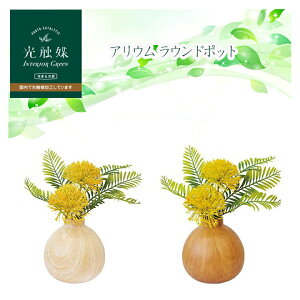 G} CeAO[ AE WDEԂۂӂƂĂ̂IB Eh^̃|bgƍ킹ADۂɁ* ꂢ炸 { tFCNO[ 