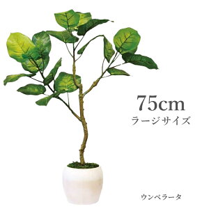 yzG} CeAO[ Ex[^ KMLivIɏL ^tFCNO[ ϗtA C    rO ϗtA ϗt A[eBtBVO