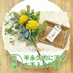 y[֑zG} tFCNO[ NVJu[PEivIɏLʁ tFCNO[ C    rO ϗtA ϗt A[eBtBVO