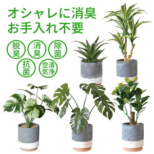 G} CeAO[ CM|bgEtFCNO[  ꂢ炸 { tFCNO[ Ϗܗp |bg L R hJr C CeA  gC Mtg 