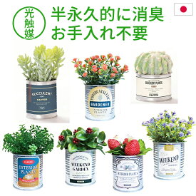 光触媒 インテリアグリーン TIN缶・半永久的に消臭する 観葉植物 人工観葉植物 ミニ アメリカン レトロ 抗菌・防汚・浄化 空気清浄 フェイクグリーン おしゃれ トイレ 玄関 洗面所 虫 居間 猫 小型 枯れない 卓上 デスク コンパクト サボテン 可愛い 小さい