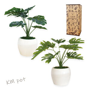 yzG}CeAO[ KM|bgEivIɏLϗtÂȂϗtA RہEhE C tFCNO[  gC  ʏ   