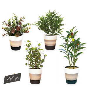 yzG}CeAO[ RMTEivIɏLϗtÂȂϗtA ~j RہEhE C tFCNO[  gC  ʏ   