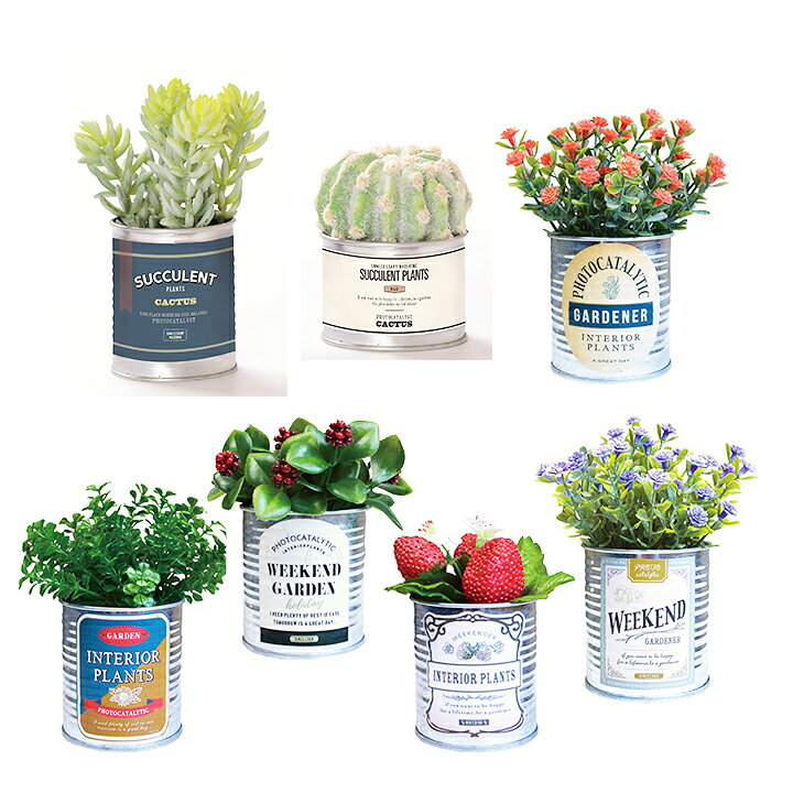 楽天市場 光触媒インテリアグリーン Tin缶 半永久的に消臭する観葉植物 観葉植物 ミニ アメリカン レトロ 抗菌 防汚 浄化 空気清浄 フェイクグリーン おしゃれ トイレ 玄関 洗面所 虫 居間 猫 小型 枯れない 卓上 デスク コンパクト サボテン Moewe Global メーヴェ