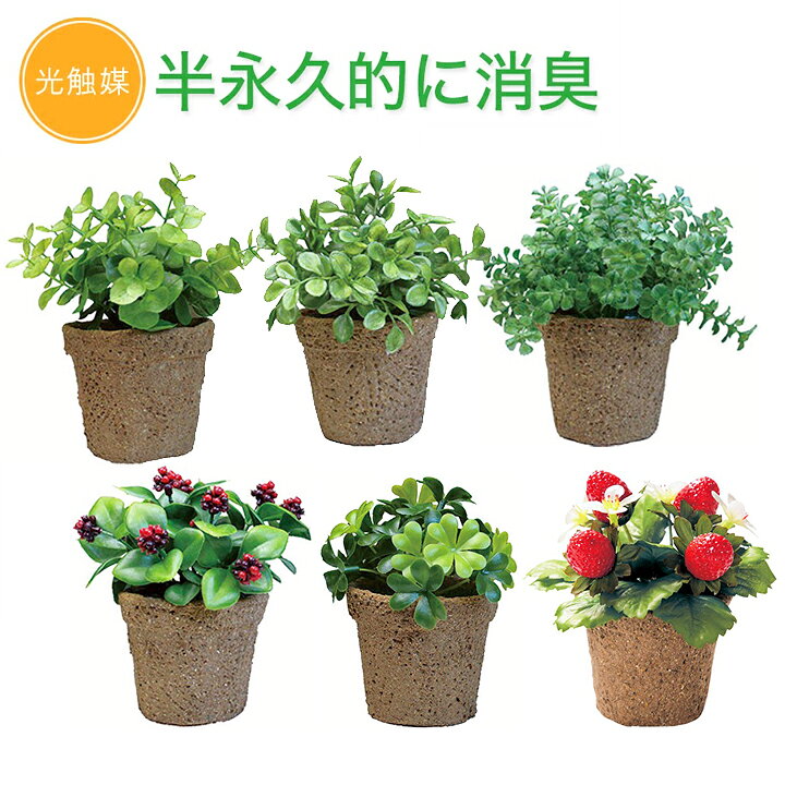 楽天市場 光触媒 ミニグリーン フェイクグリーン ミニサイズの卓上仕様 Ct触媒 観葉植物 人工 水やり不要 害虫 アブラムシ 空気清浄 消臭 抗菌 小さい 玄関 トイレ 棚 インテリアグリーン イミテーショングリーン 小さい Moewe Global メーヴェ