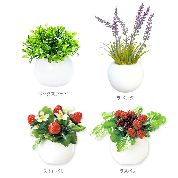楽天市場】インテリアグリーン ラウンドポット・光触媒で消臭効果♪観葉植物 ミニ フェイクグリーン 空気清浄 小さい おしゃれ コンパクト トイレ 植物 デスク 卓上 インテリア 枯れない お洒落 洗面所 玄関 虫 つかない ct触媒 セット 空気浄化 猫 消臭 小型 グリーン ... 楽天市場】インテリアグリーン ラウンドポット・光触媒で消臭効果♪観葉植物 ミニ フェイクグリーン 空気清浄 小さい おしゃれ コンパクト トイレ 植物 デスク 卓上 インテリア 枯れない お洒落 洗面所 玄関 虫 つかない ct触媒 セット 空気浄化 猫 消臭 小型 グリーン ...