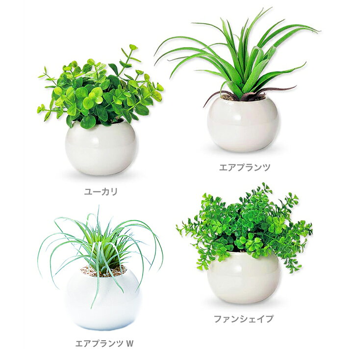 楽天市場】インテリアグリーン ラウンドポット・光触媒で消臭効果♪観葉植物 ミニ フェイクグリーン 空気清浄 小さい おしゃれ コンパクト トイレ 植物 デスク 卓上 インテリア 枯れない お洒落 洗面所 玄関 虫 つかない ct触媒 セット 空気浄化 猫 消臭 小型 グリーン ... 楽天市場】インテリアグリーン ラウンドポット・光触媒で消臭効果♪観葉植物 ミニ フェイクグリーン 空気清浄 小さい おしゃれ コンパクト トイレ 植物 デスク 卓上 インテリア 枯れない お洒落 洗面所 玄関 虫 つかない ct触媒 セット 空気浄化 猫 消臭 小型 グリーン ...