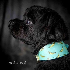 TCY J[  oii Ch X n[t`[N kC|[g ɂ C^O C}i[ SȂ ChJ[ {v `v[ gCv[  p ^ 